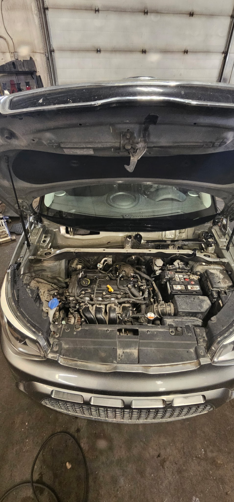 Before under hood detailing service